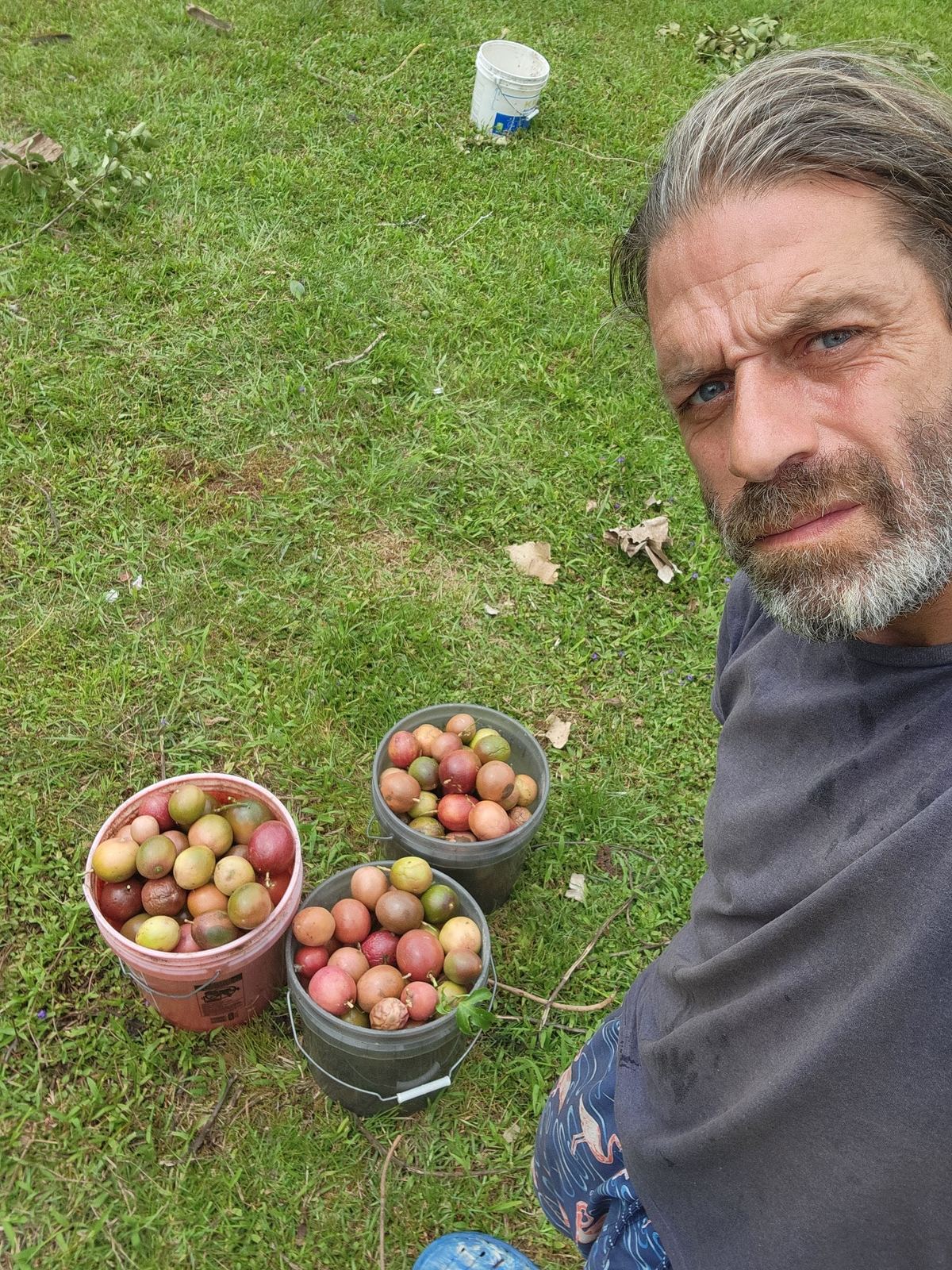 Jessie with buckets of lilikoʻi harvest