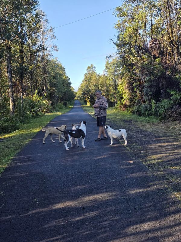 Jessie walking dogs on the jungle road