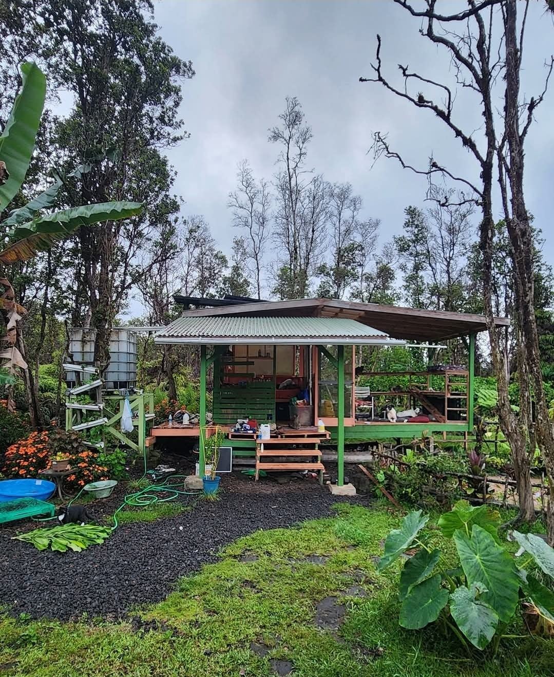 FlashTown cabin in the jungle